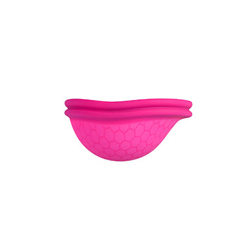 Ziggy Cup Intimina