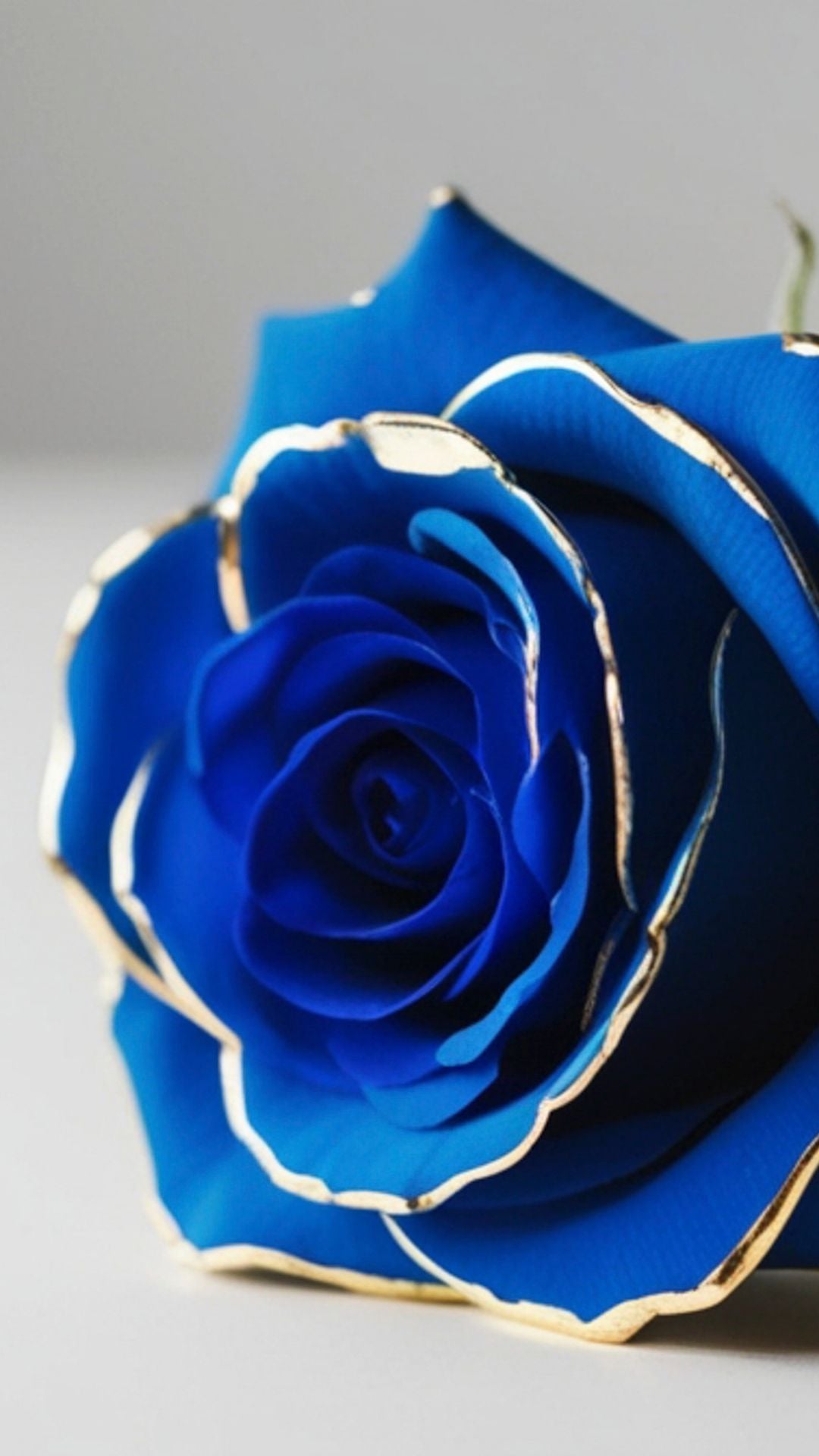 hið fullkomna bóndadags stefnumót