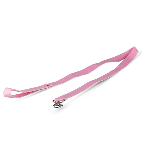 Secret Pleasure Chest - Pink Passion