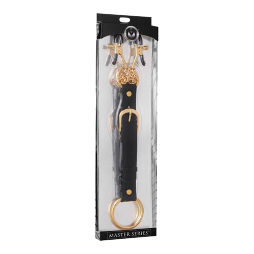 Penitentiary Nipple Clamps