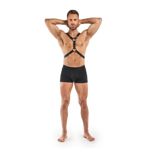 Max harness