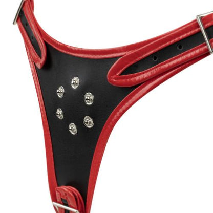 Þrefalt harness