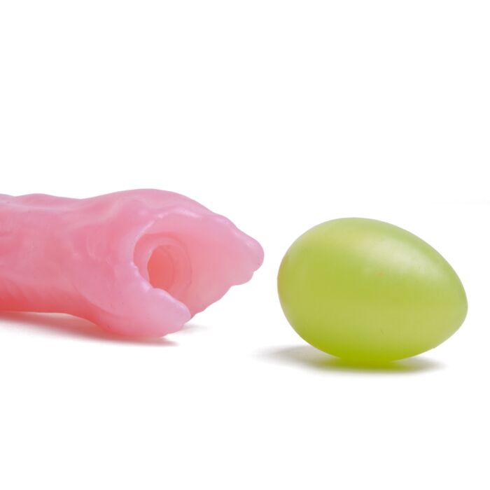 Ovipositor