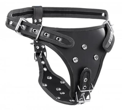 Double penetration strap-on harness