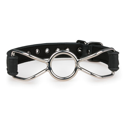 O-ring gag